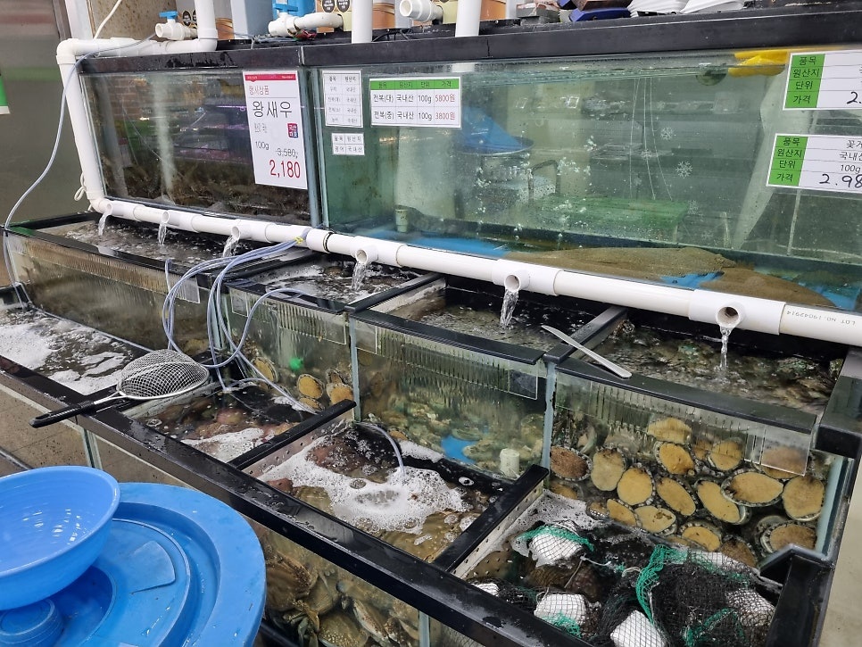 순천 파머스 봉화점 수산코너 직원구인 공고 썸네일
