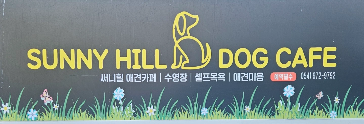 써니힐 애견카페 직원 구함
