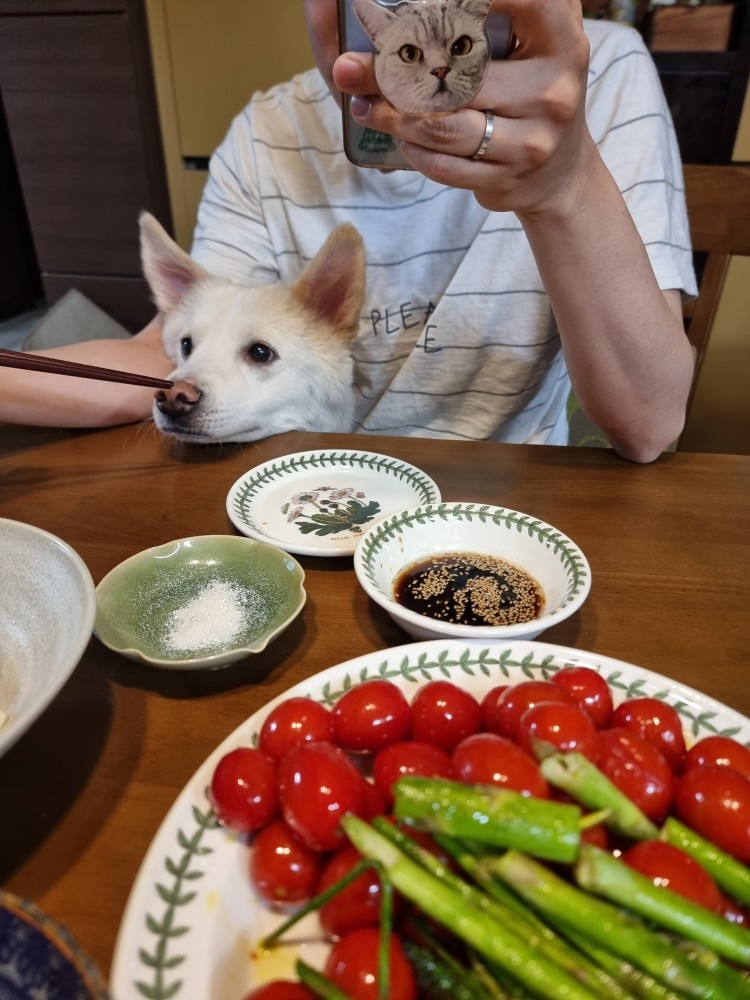 가사 집안일 공고 썸네일