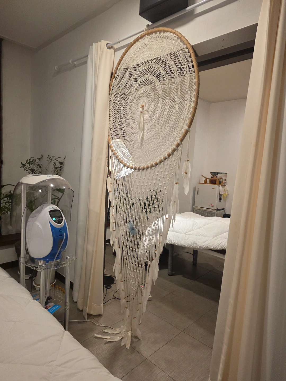 피부관리실 관리사 구함