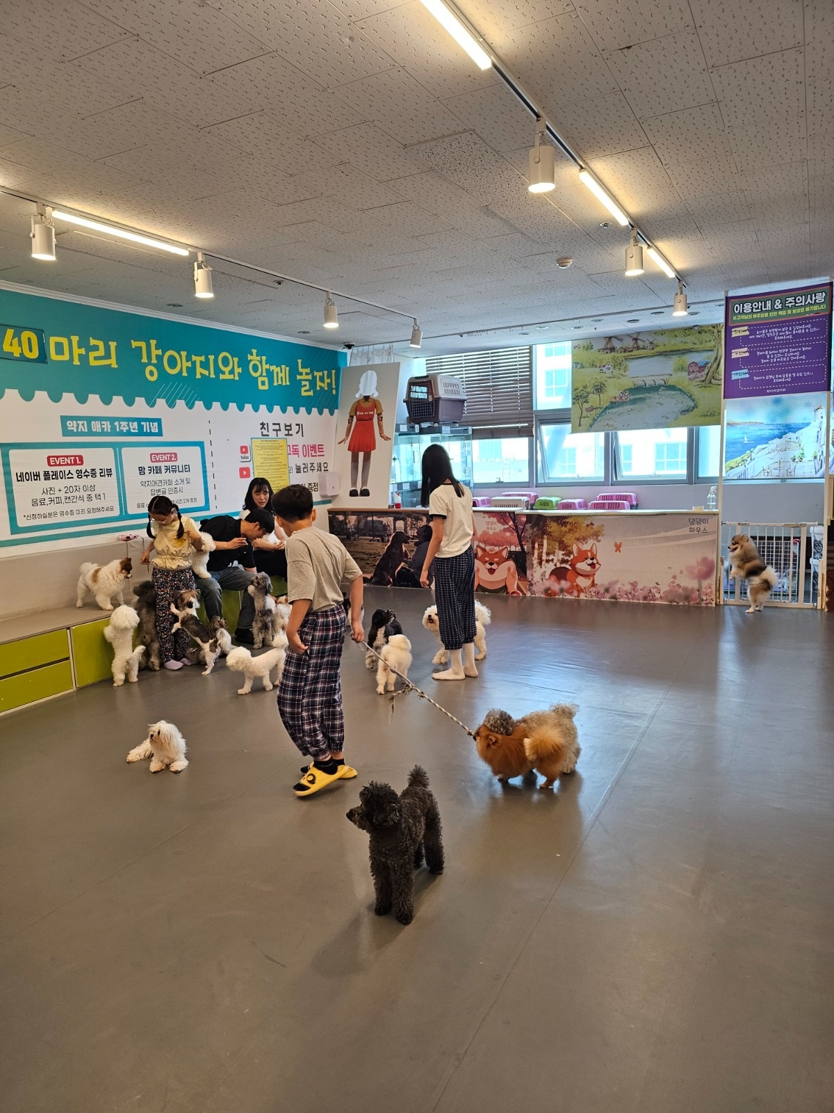 약지애견카페(파트)마감해주실분 공고 썸네일