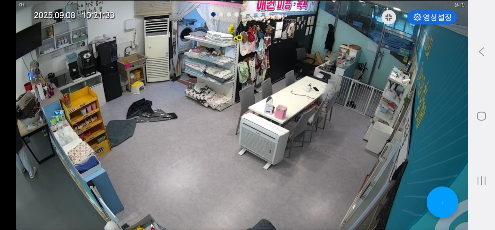 애견카페 주말(토,일)아침청소구함 9~11시 공고 썸네일