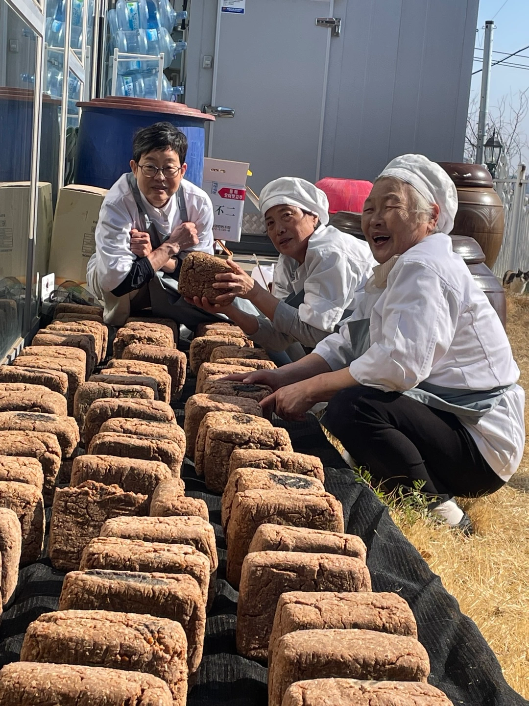 손정혜식당 직원 구합니다