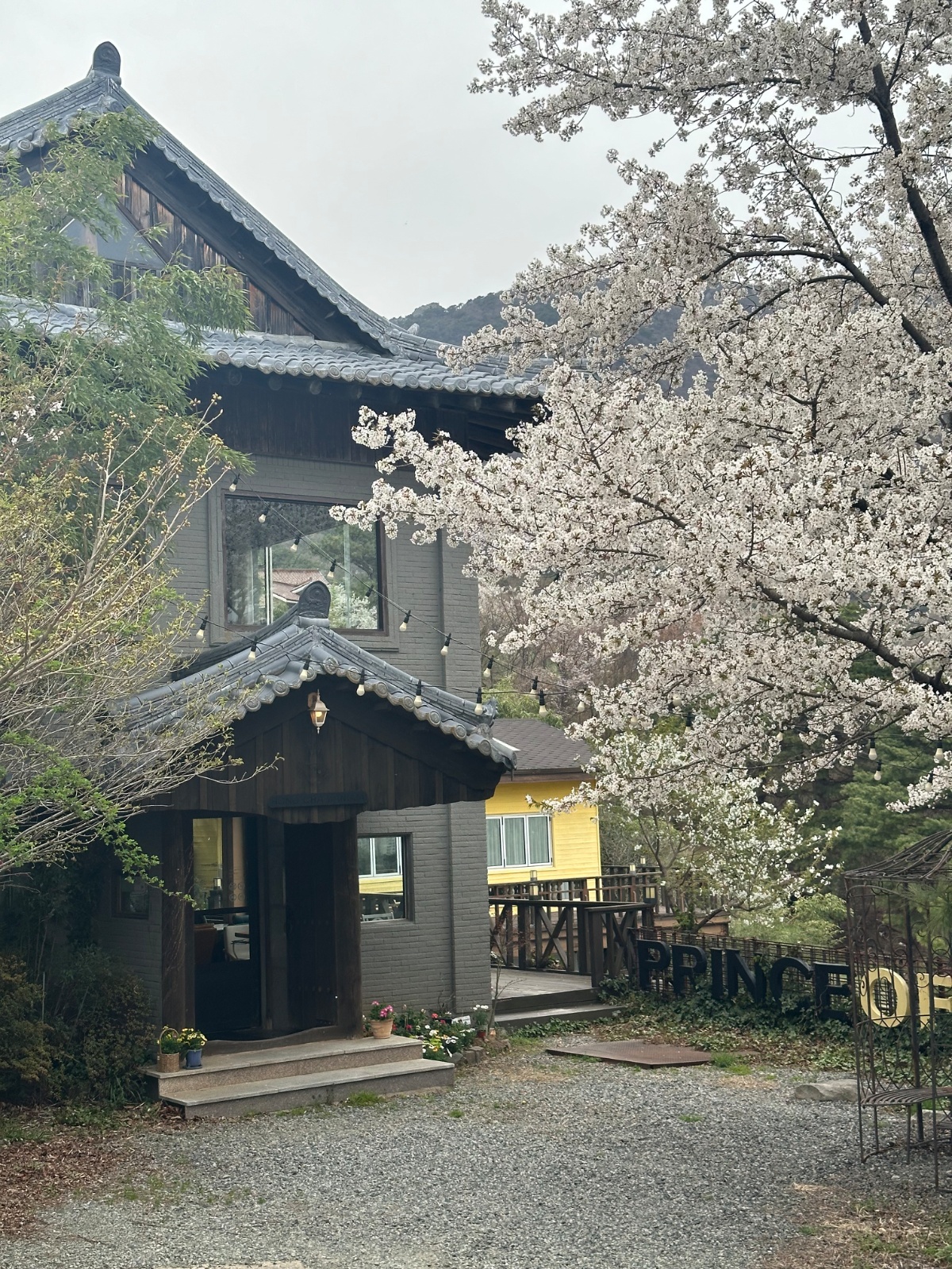 홍차왕자 주말근무자 구해요~ 공고 썸네일