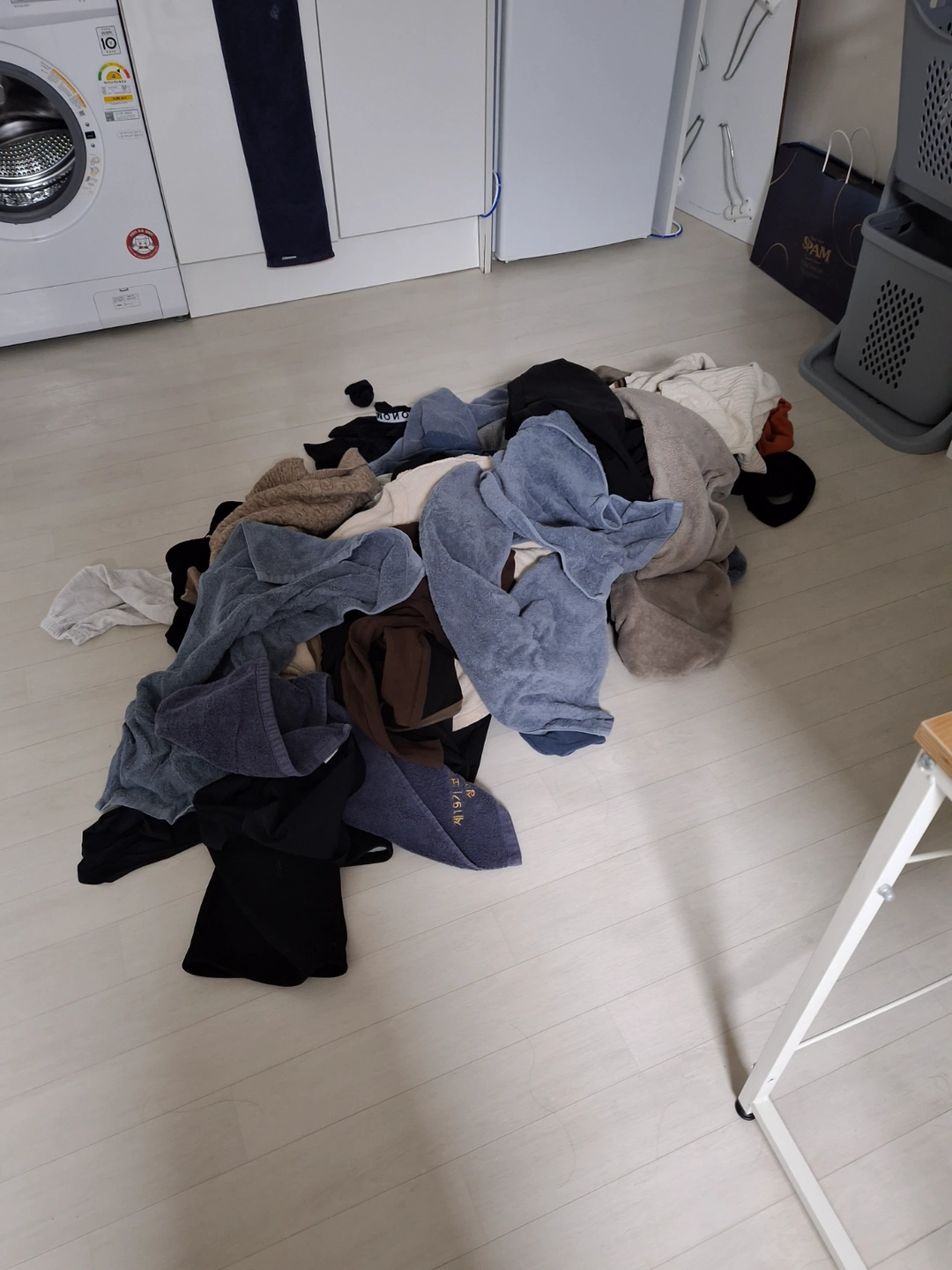 빨래(코인세탁방에서 빨고건조시키고정리하기까지)가능하신분