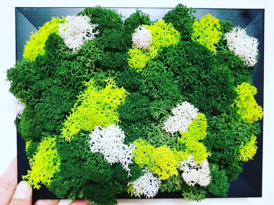 요양보호사님을 모십니다.