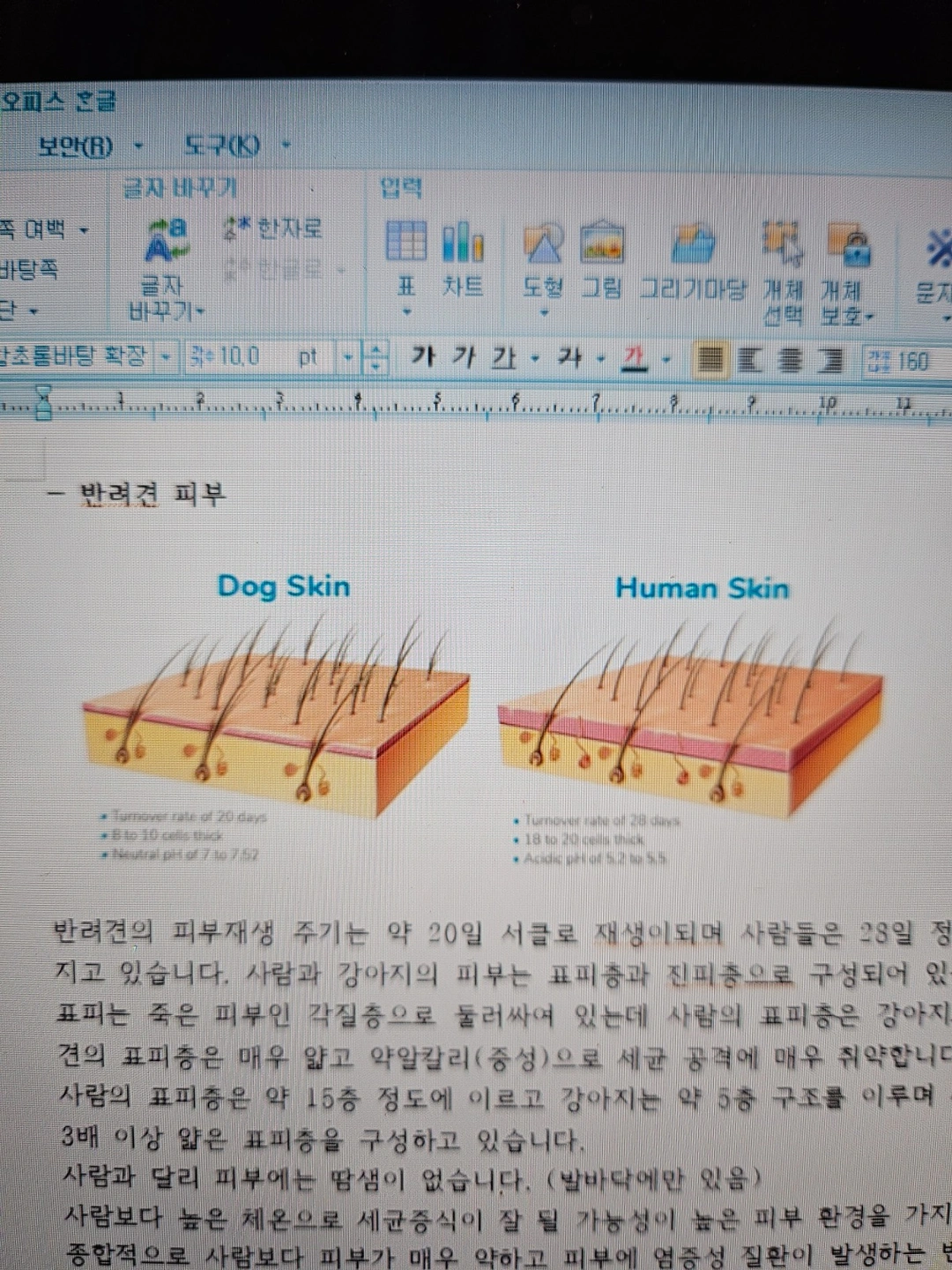 일러스트 잘하시는분