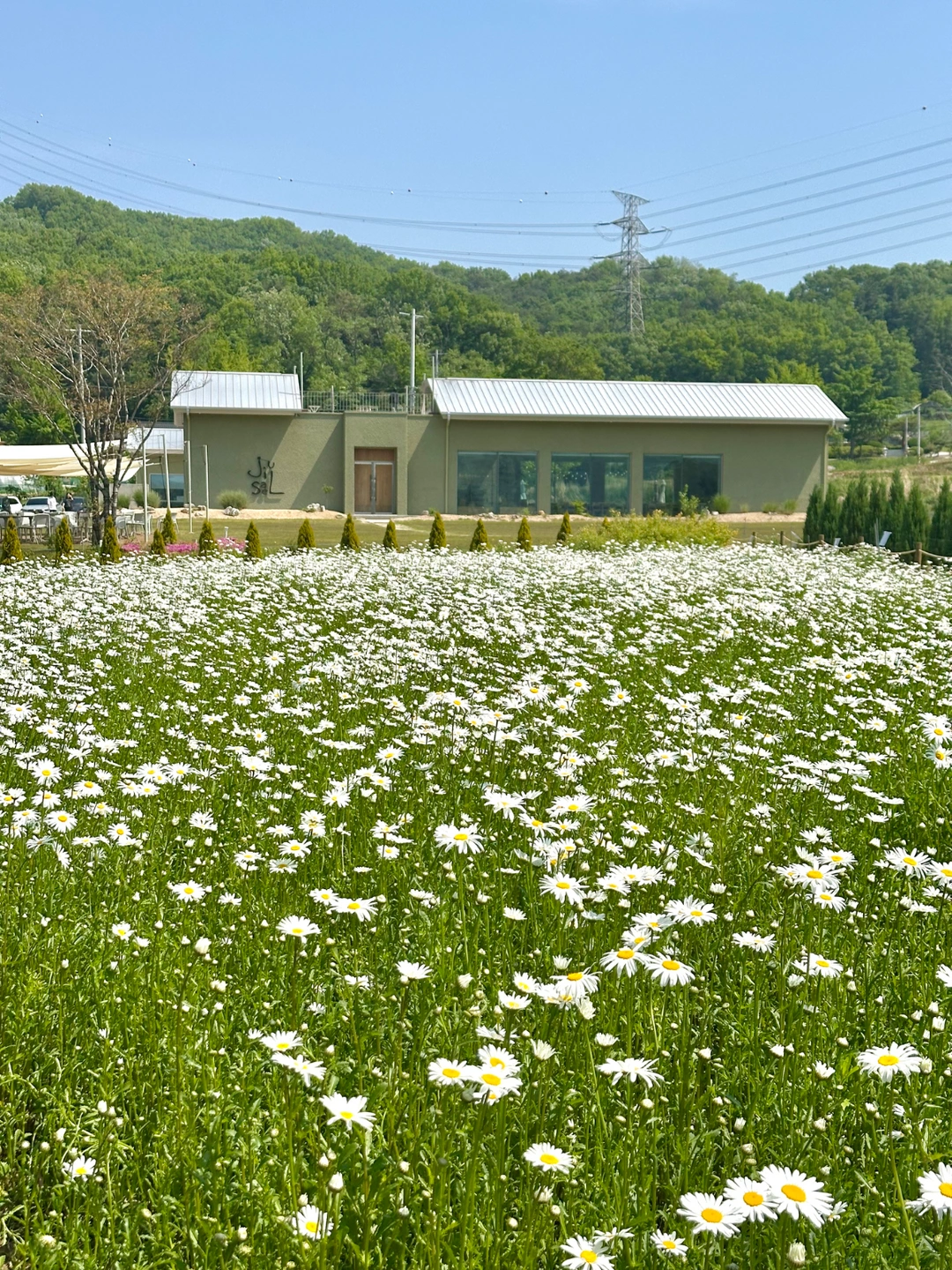 아산 카페지새울 바리스타 정직원 및 알바 모집합니다.