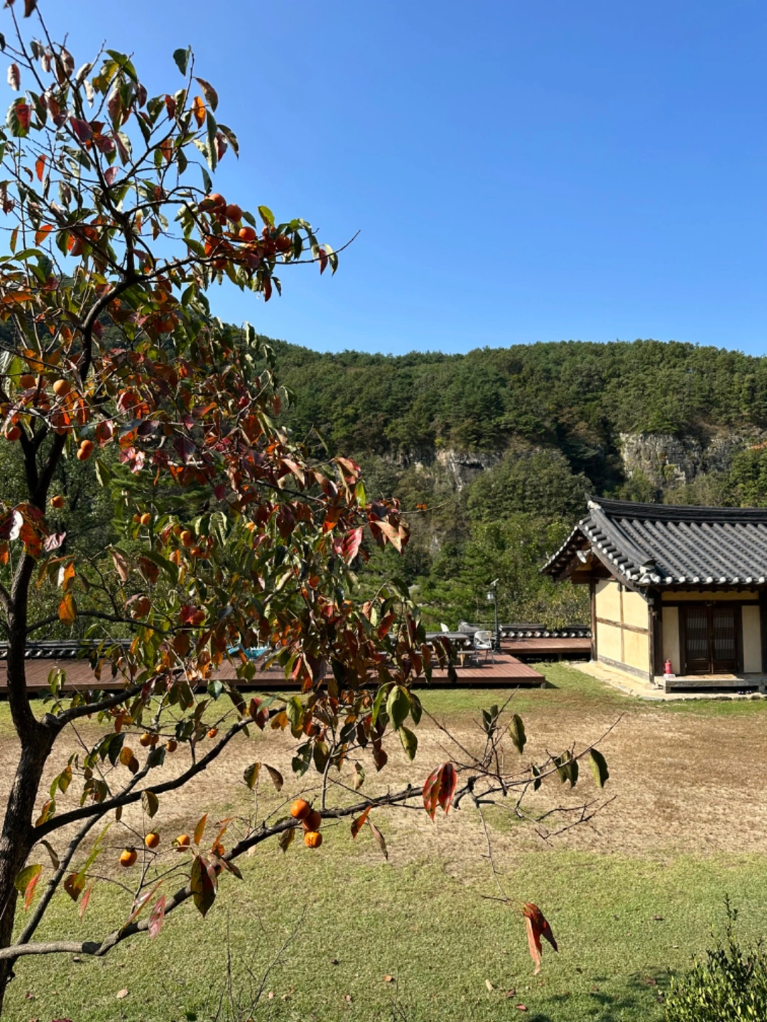 짐정리 행사도움이