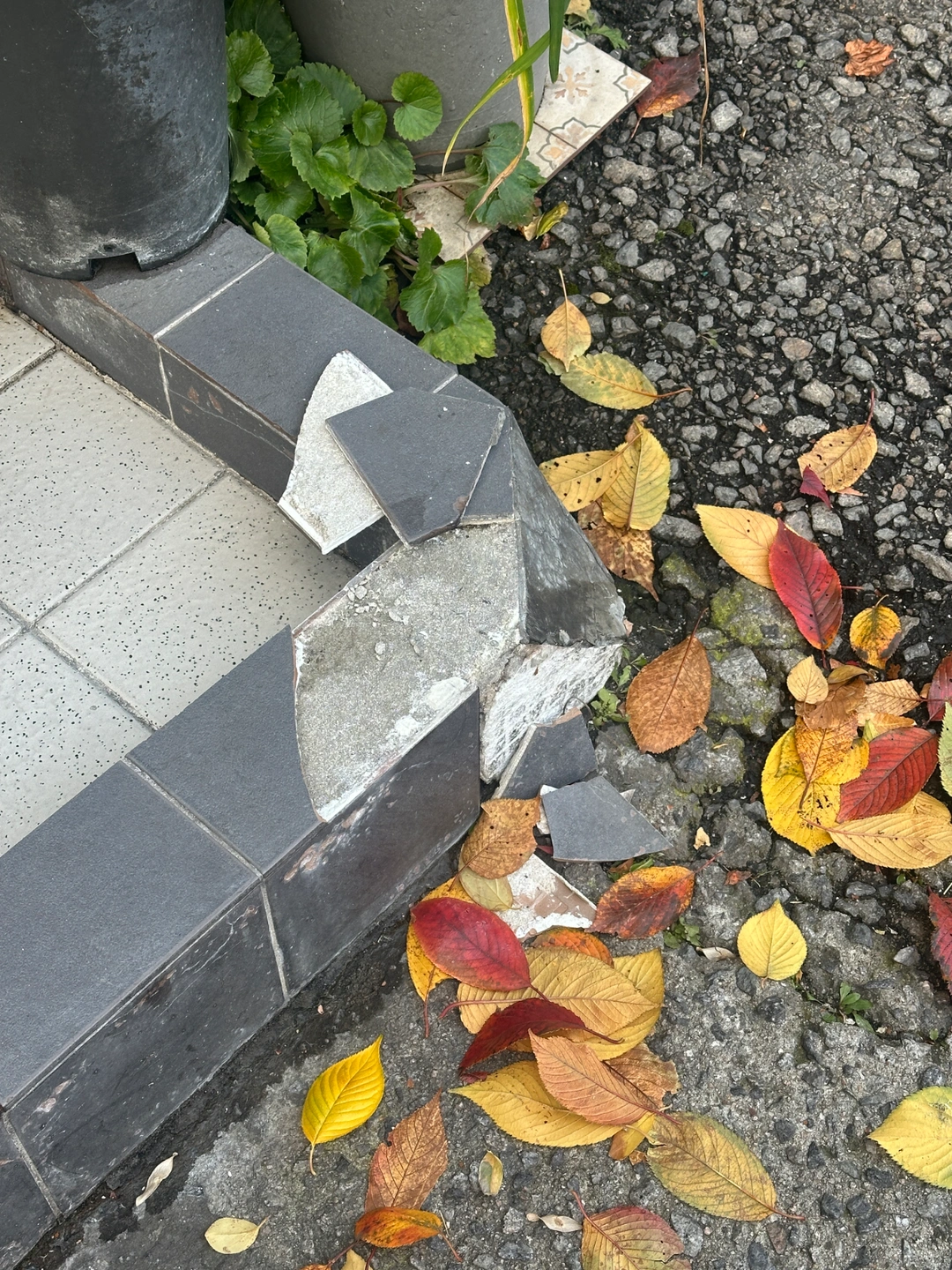 시멘트 보수 해주실 분