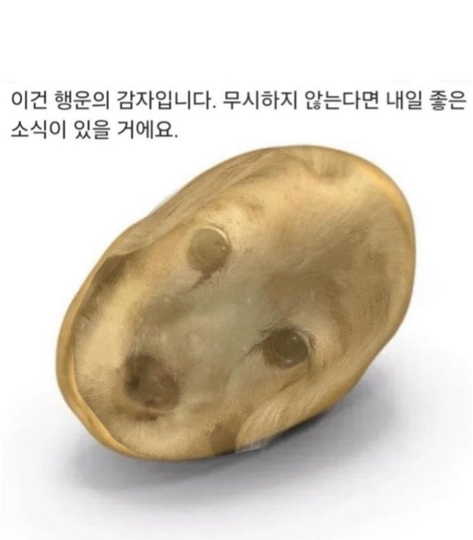 블로그 글쓰는거 도와주�실분(강서구) 공고 썸네일