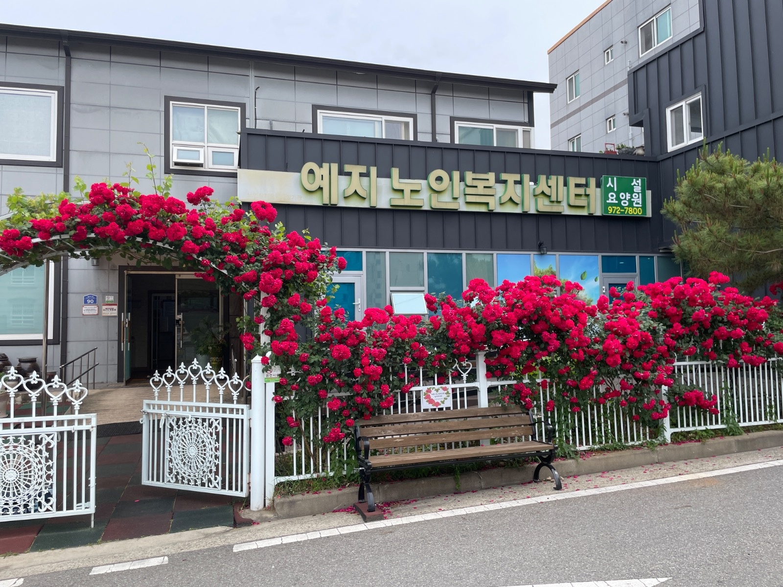 요양보호사 구해요 공고 썸네일