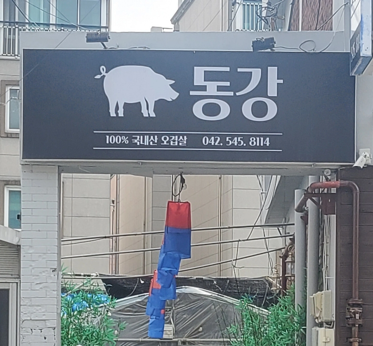 원내동 '동강'에서 주말 알바를 구합니다