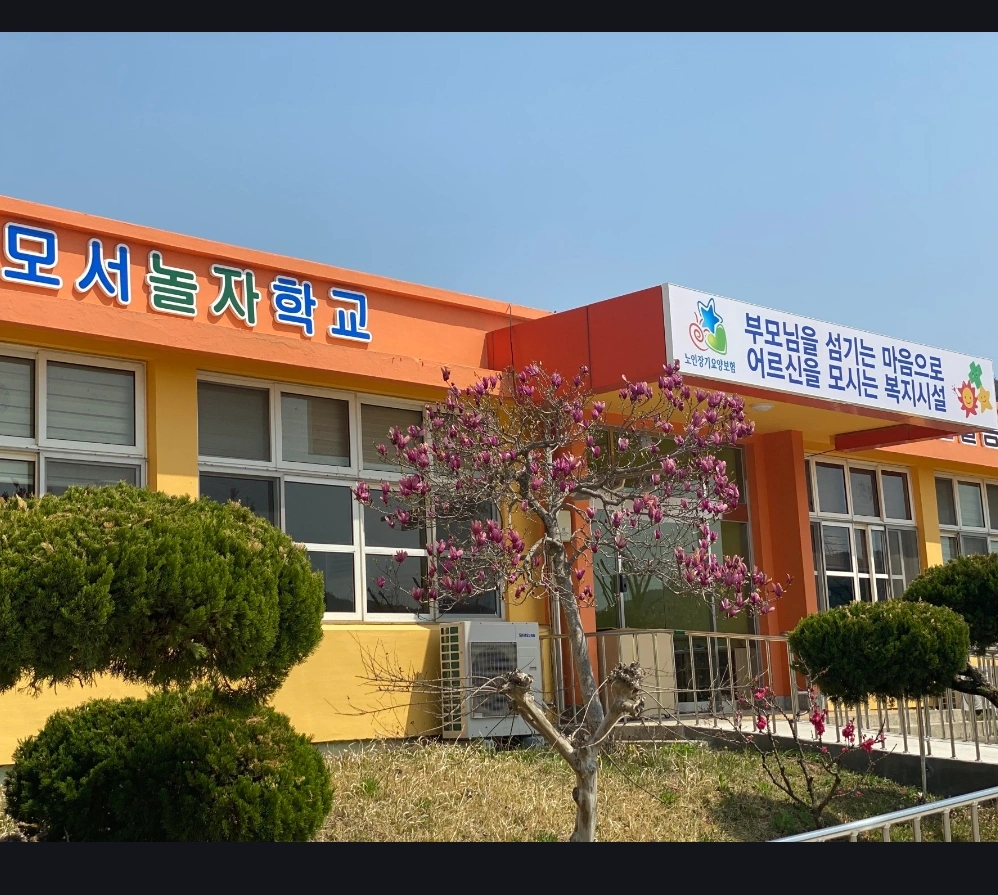 사회복지사 구함
