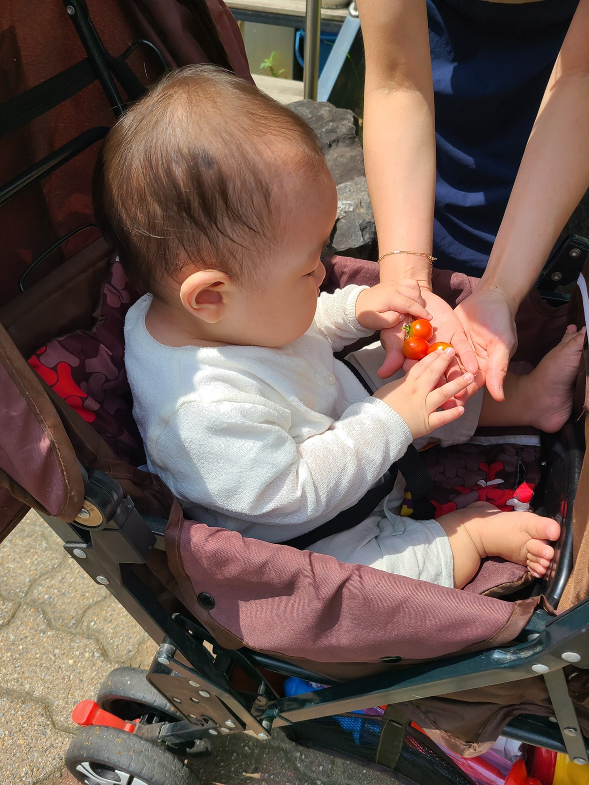 수목금 주3회 베이비시터 구합니다 공고 썸네일