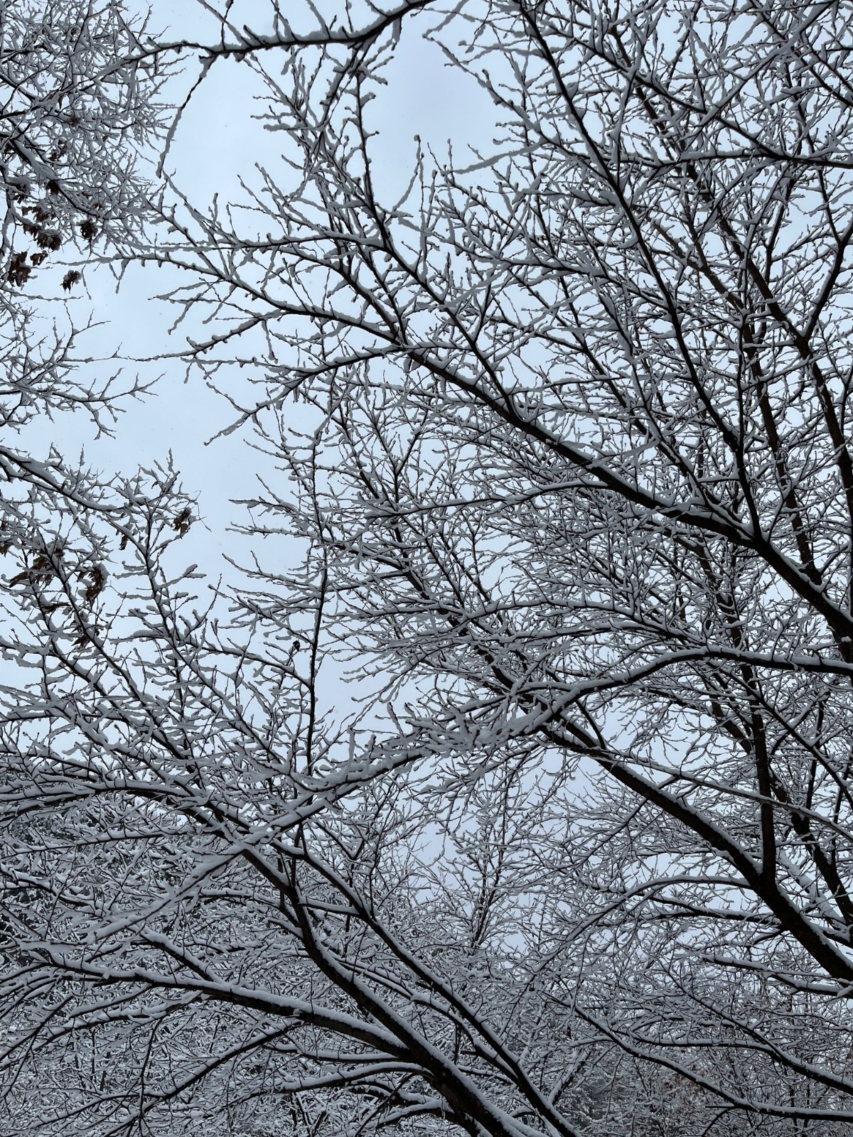 간단한 포장, 화성 꿀알바(꼼꼼하신분) 공고 썸네일