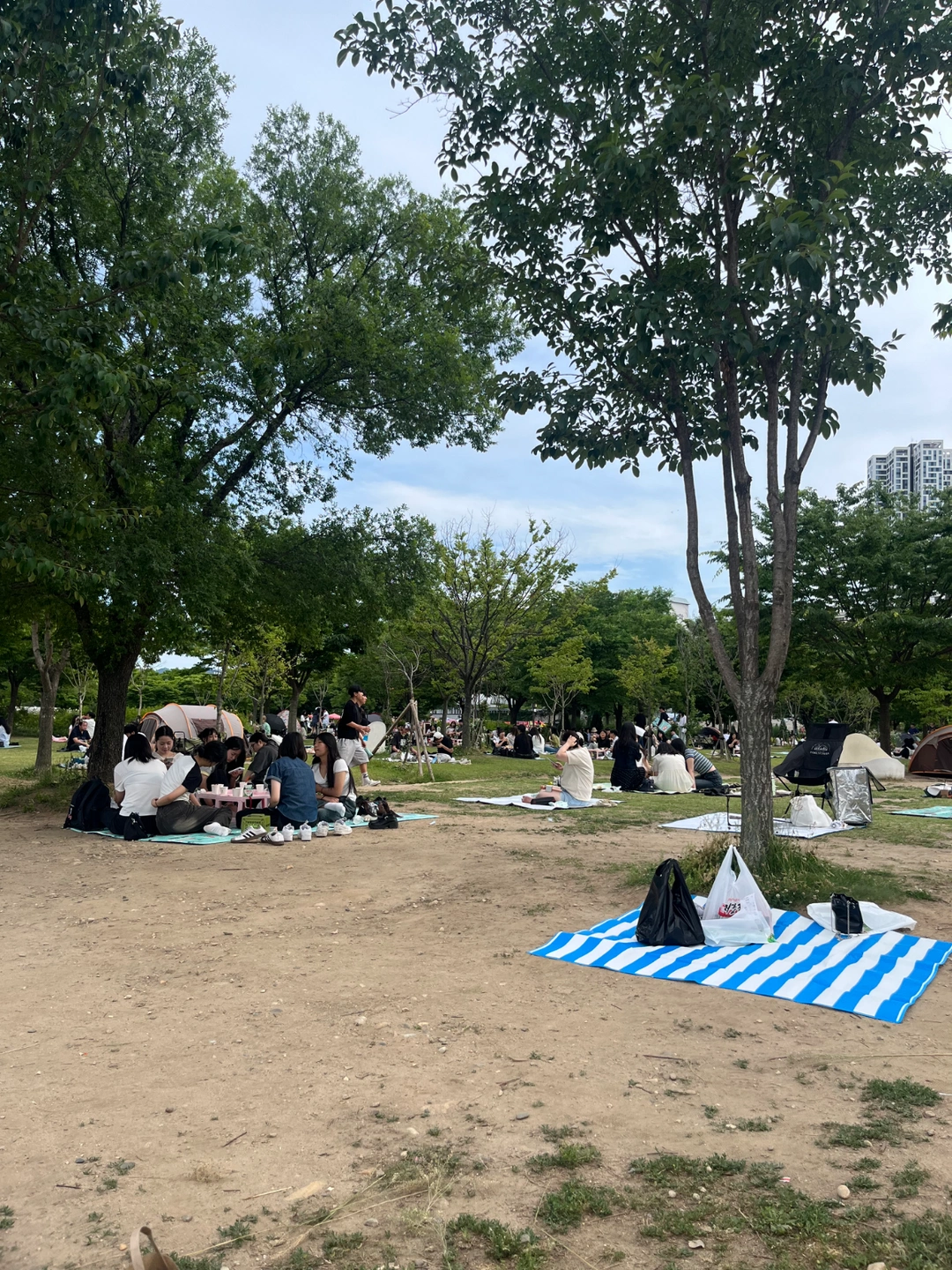 내일(8일) 오후 3시 알바하실분