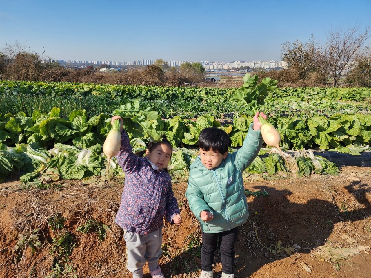 고촌읍 아가농(아이들과 함께 가꾸는 농장) 아르바이트 장소 (3)