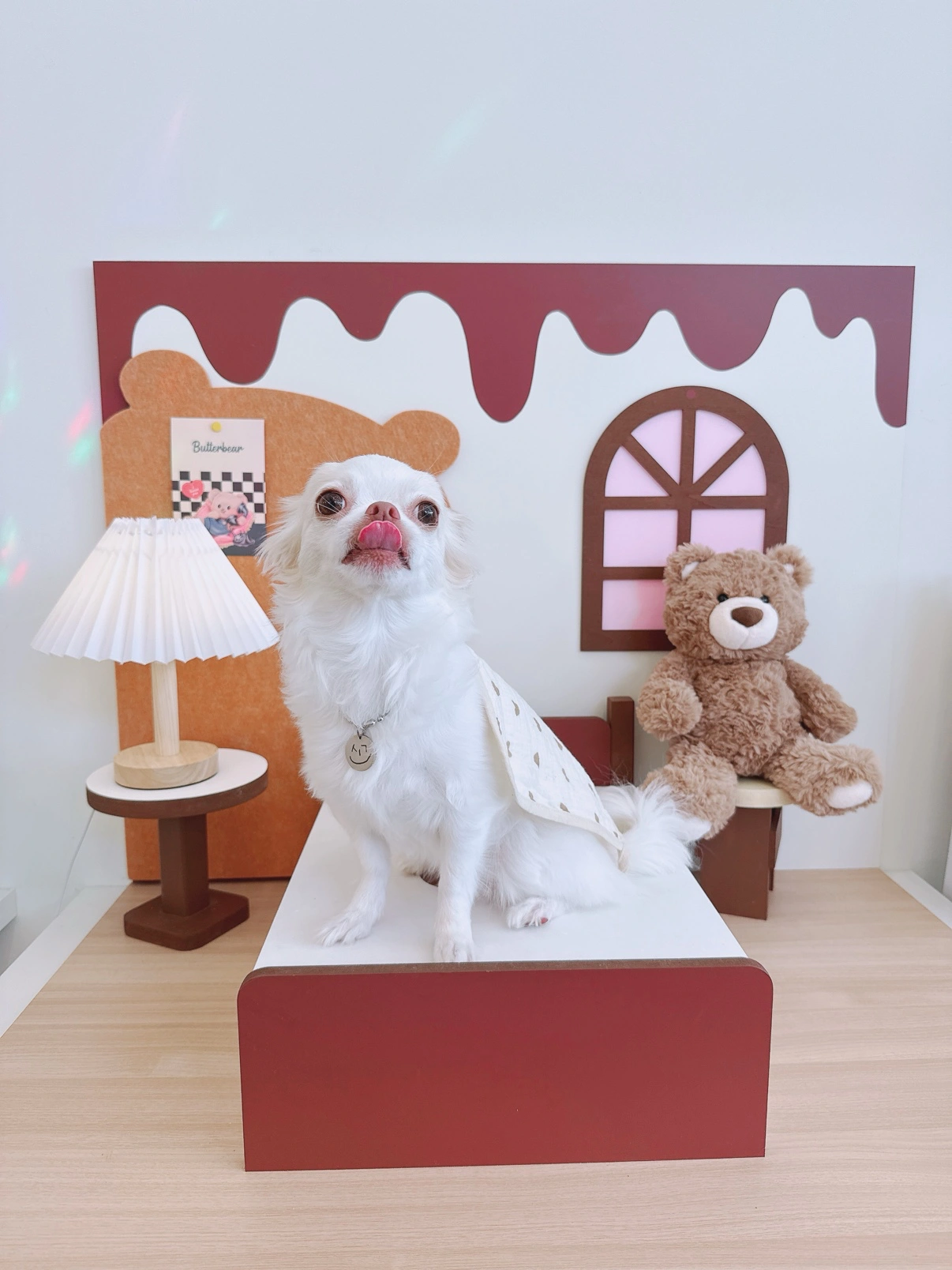 강아지 펫시터