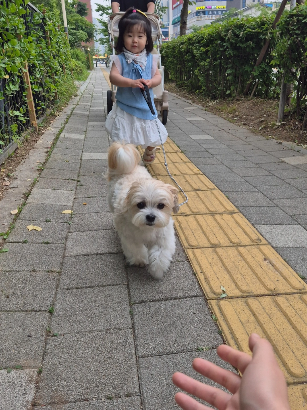 강아지 뷰ㅏ주실분!!