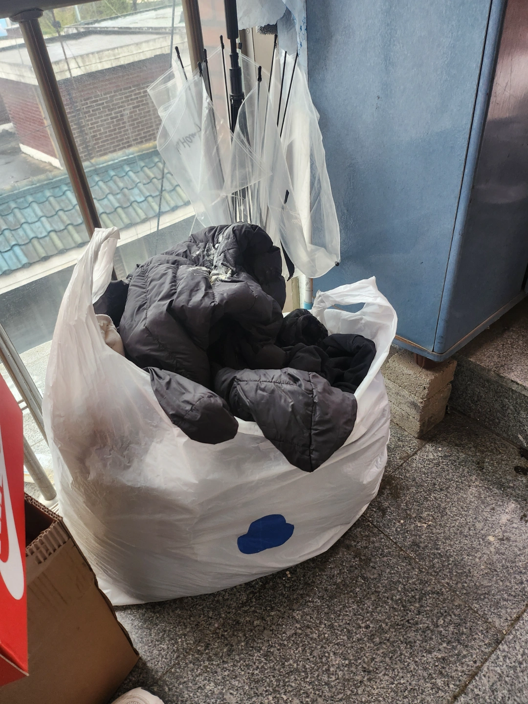 코인빨래 해주실분
