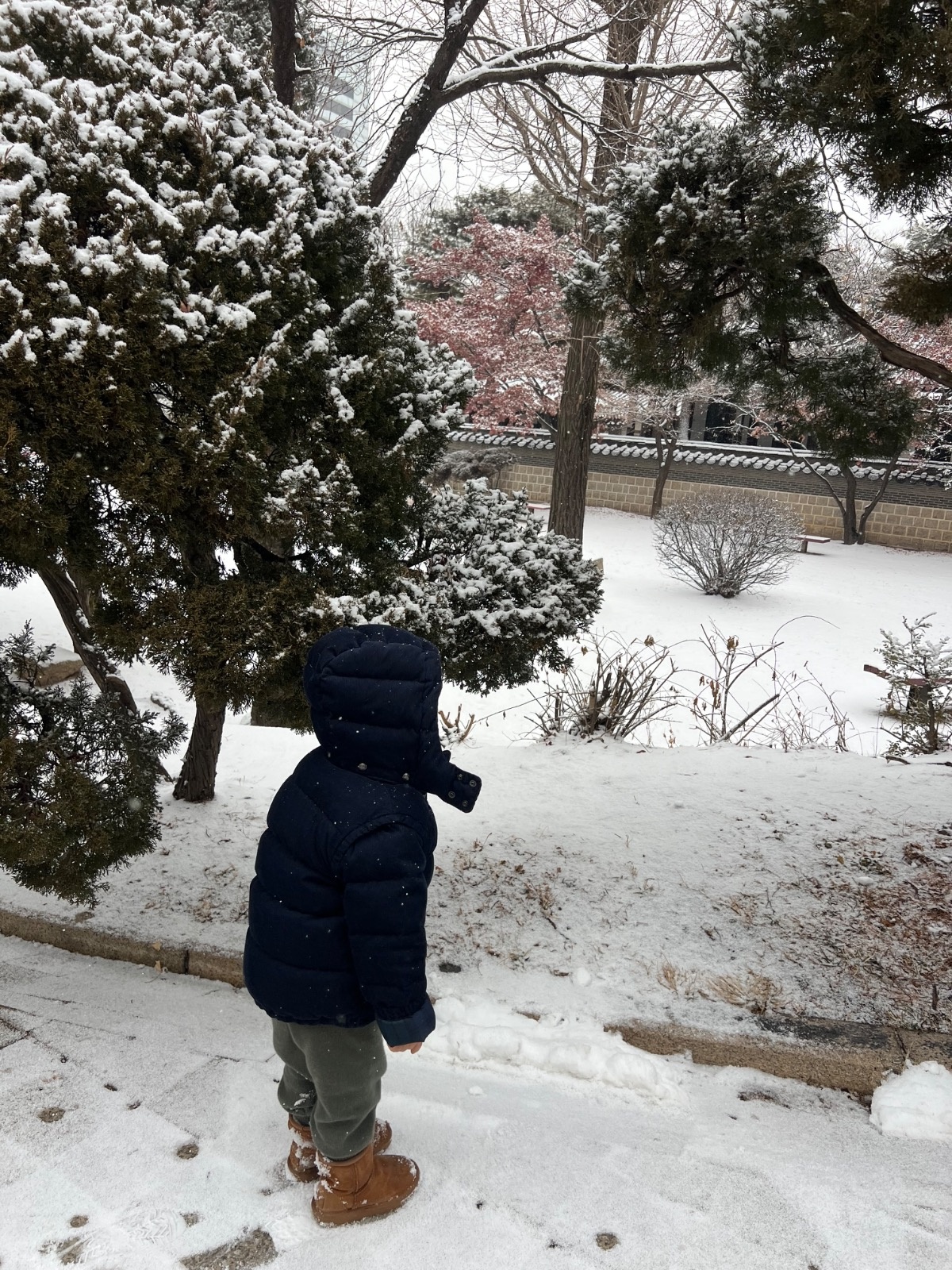 6세 남아 등원 준비 및 선생님 자차 등원 공고 썸네일