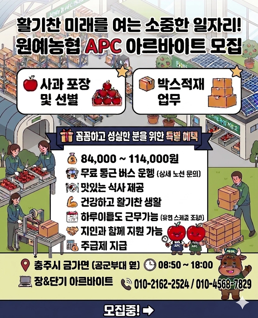 긴급당일~사과포장알바모집