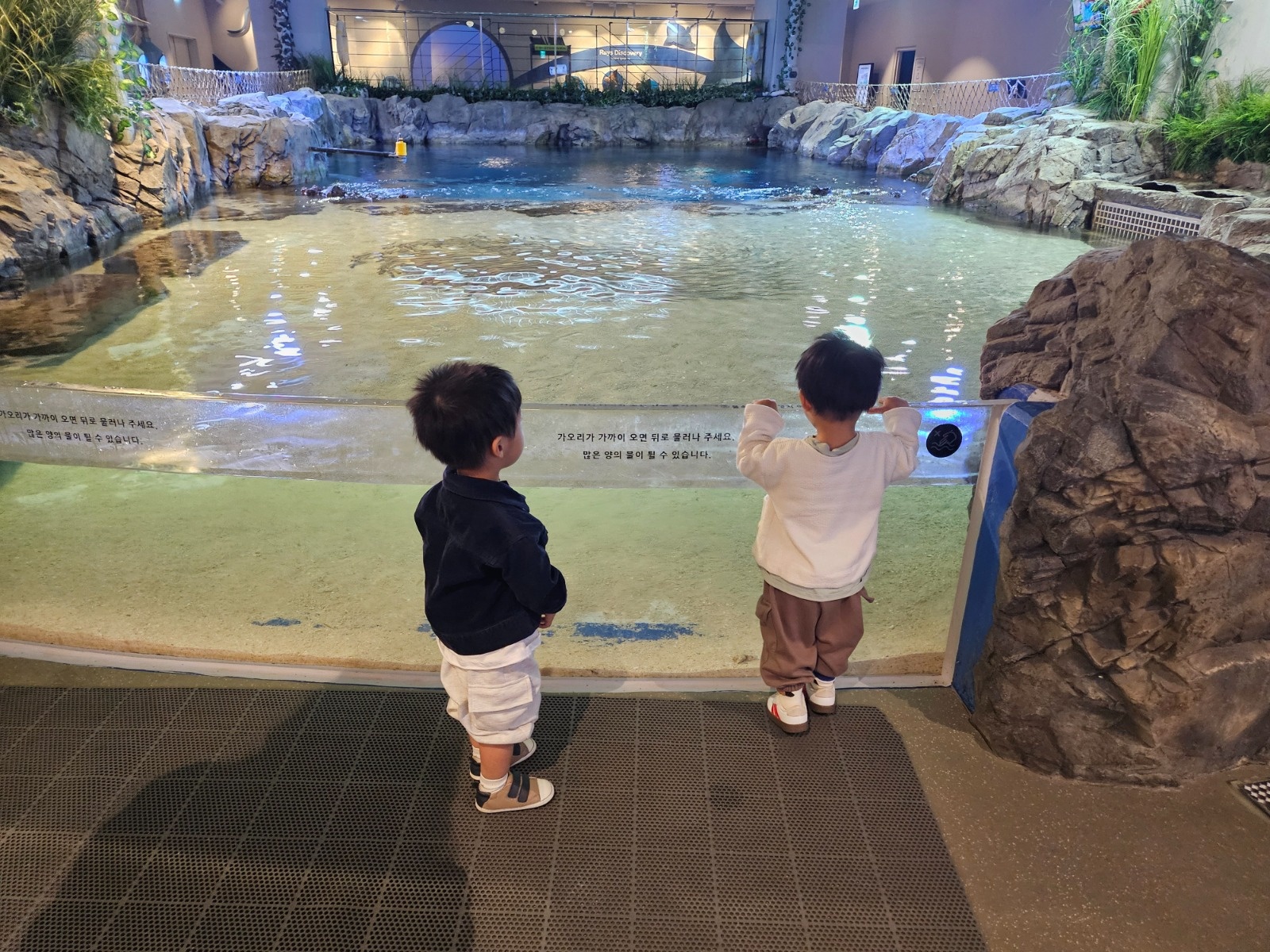 26개월 쌍둥이 남아 하원도우미 찾아요~ 공고 썸네일