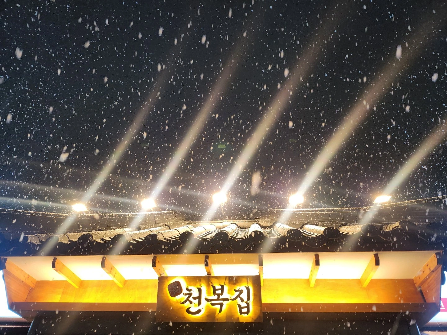 홀서빙 하실분 모집합니다