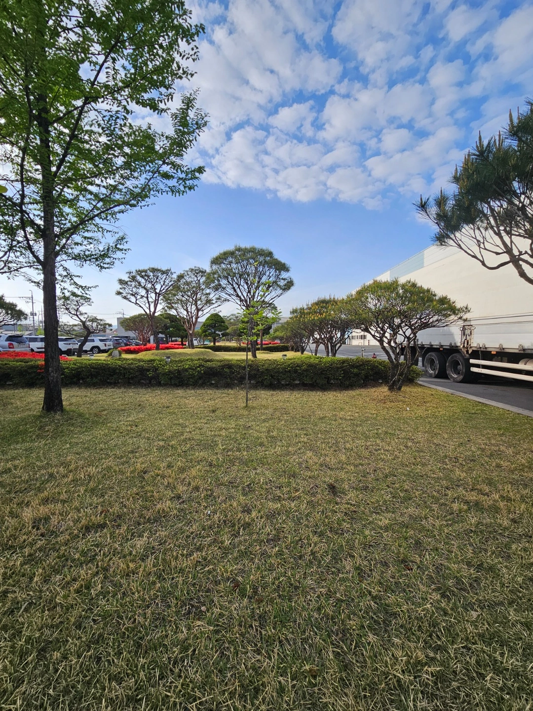 주5일 근무 정원관리 보조기사님 구함