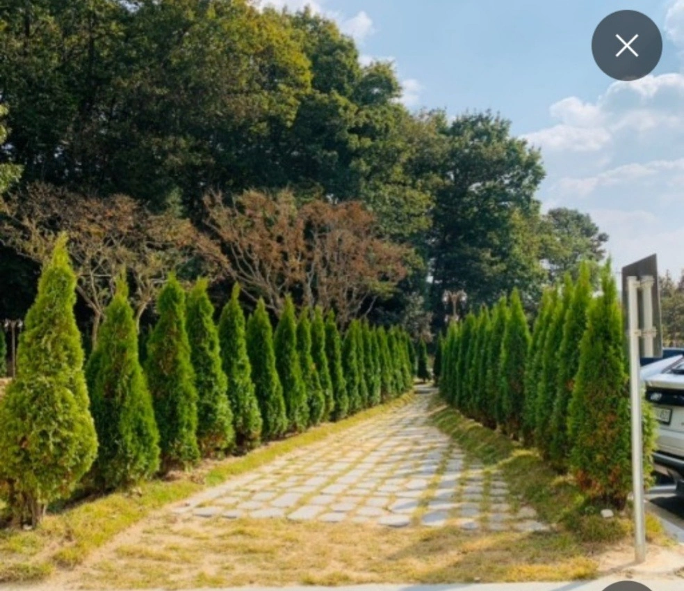 정원 조경관리 보조 구합니다