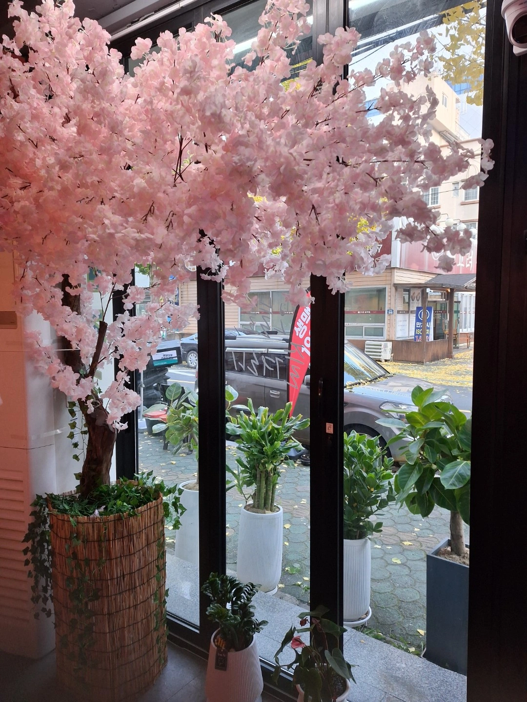 정직원 홀서빙 직원구함