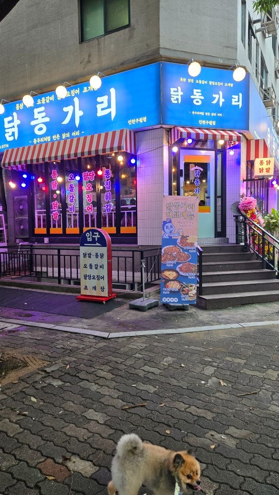 닭동가리 주방 구인공고 공고 썸네일
