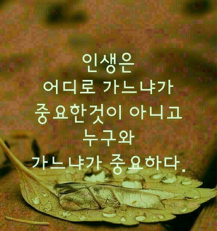 도시락배달식당(토요일만)배달기사구함 공고 썸네일