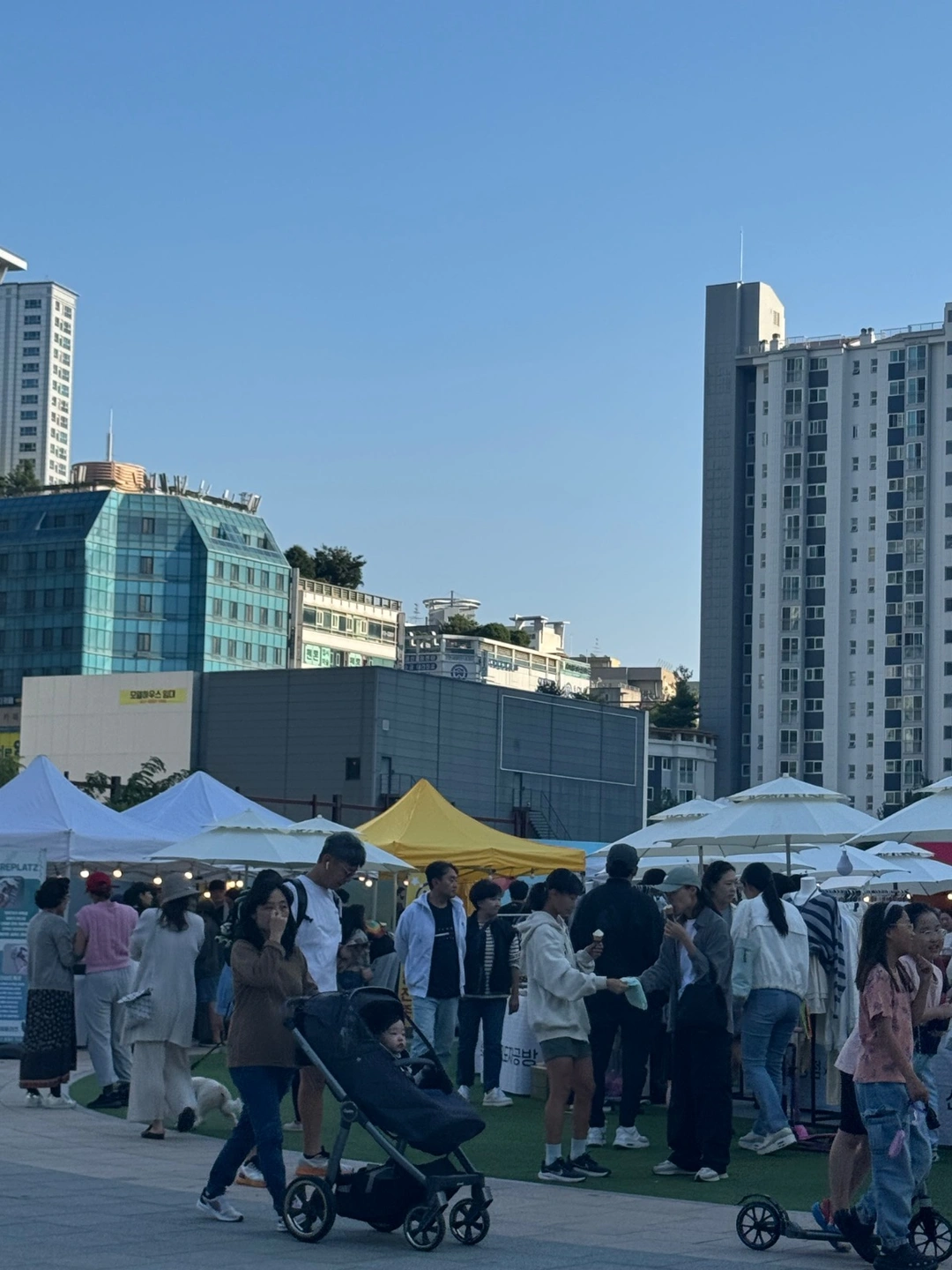 마켓행사 알바