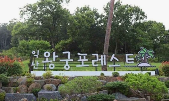 8월 1,2일(토,일) 족욕 카페 보조 알바 구인
