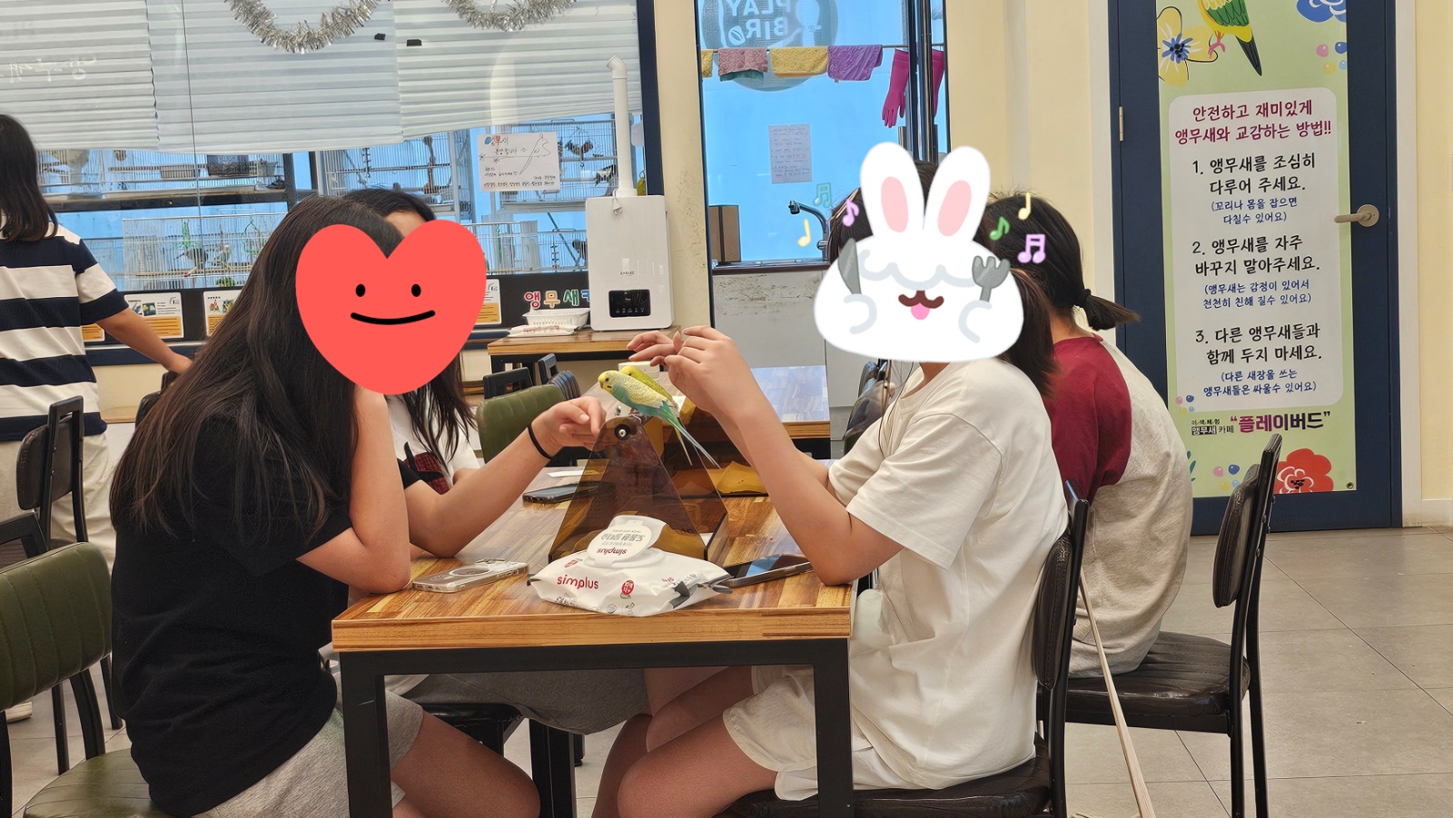 앵무새카페 플레이버드 홀담당 공고 썸네일