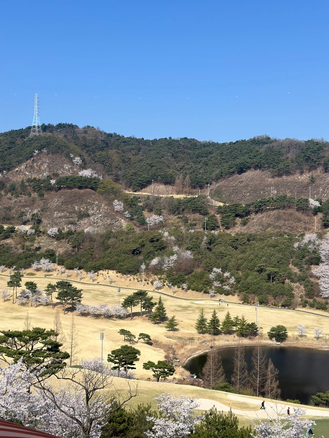 웨딩스탭알바