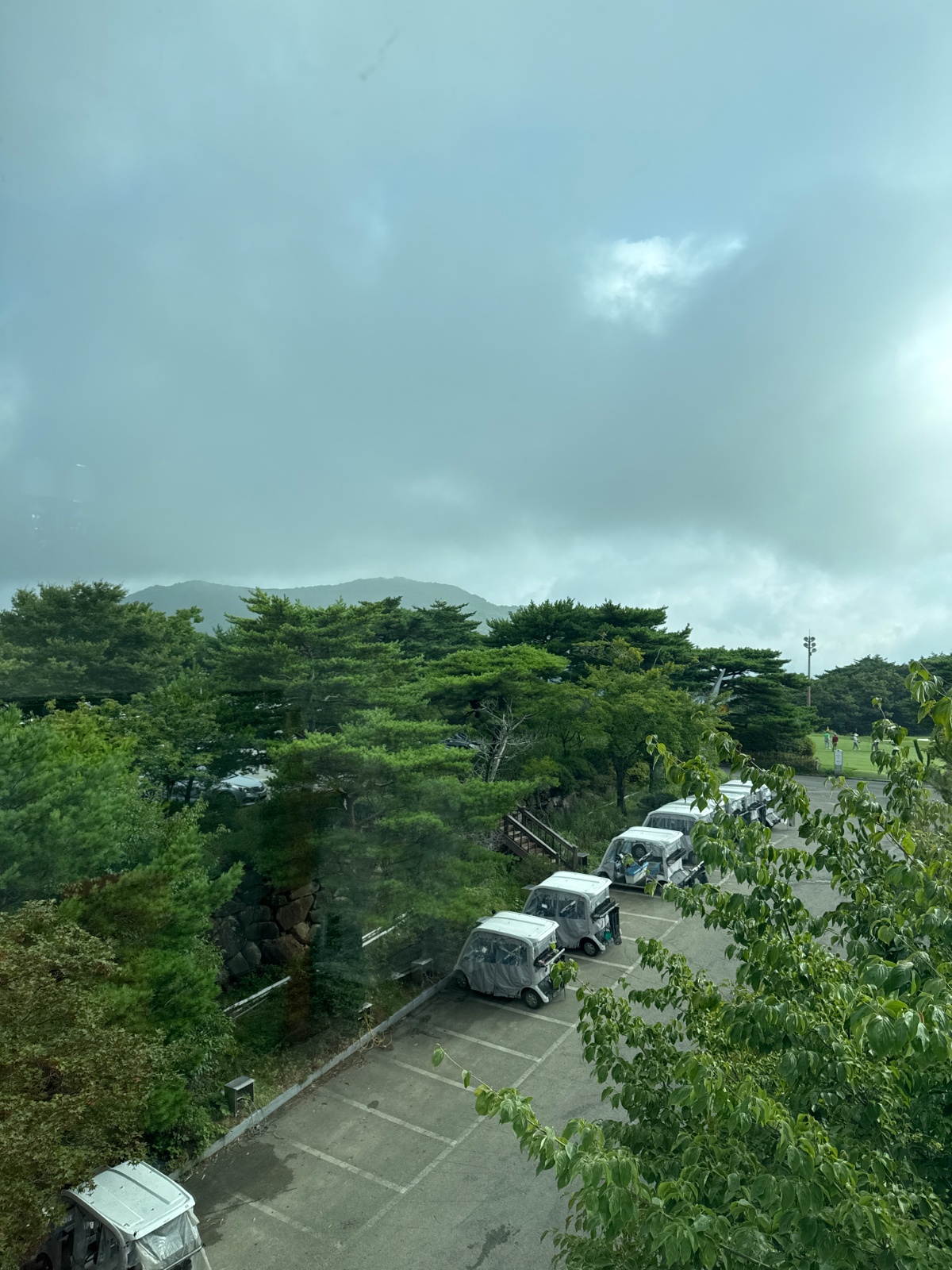 초보가능/단기가능/정직원모집 공고 썸네일