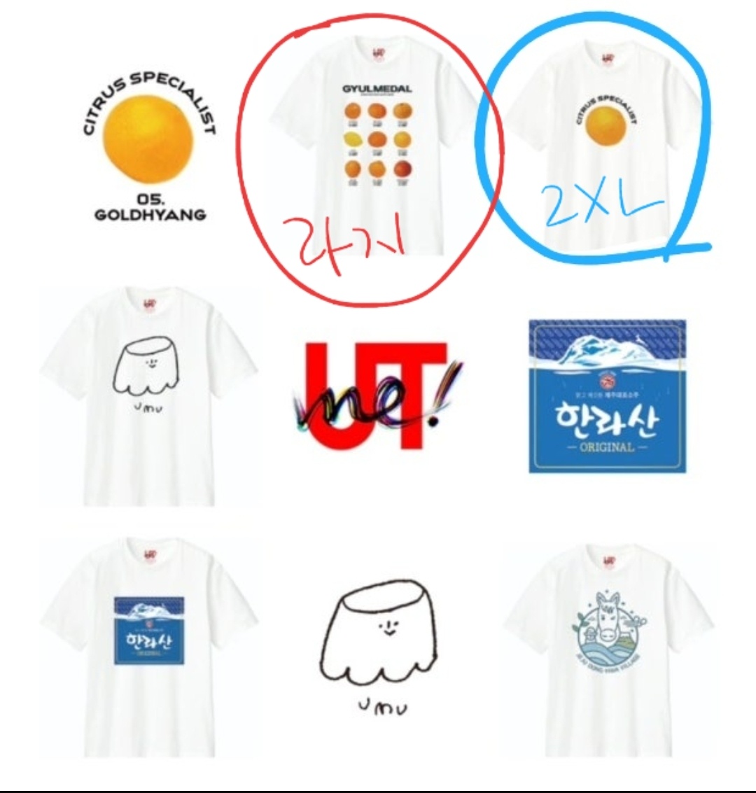 제주 유니클로 감귤티 구매대행 오픈런 공고 썸네일