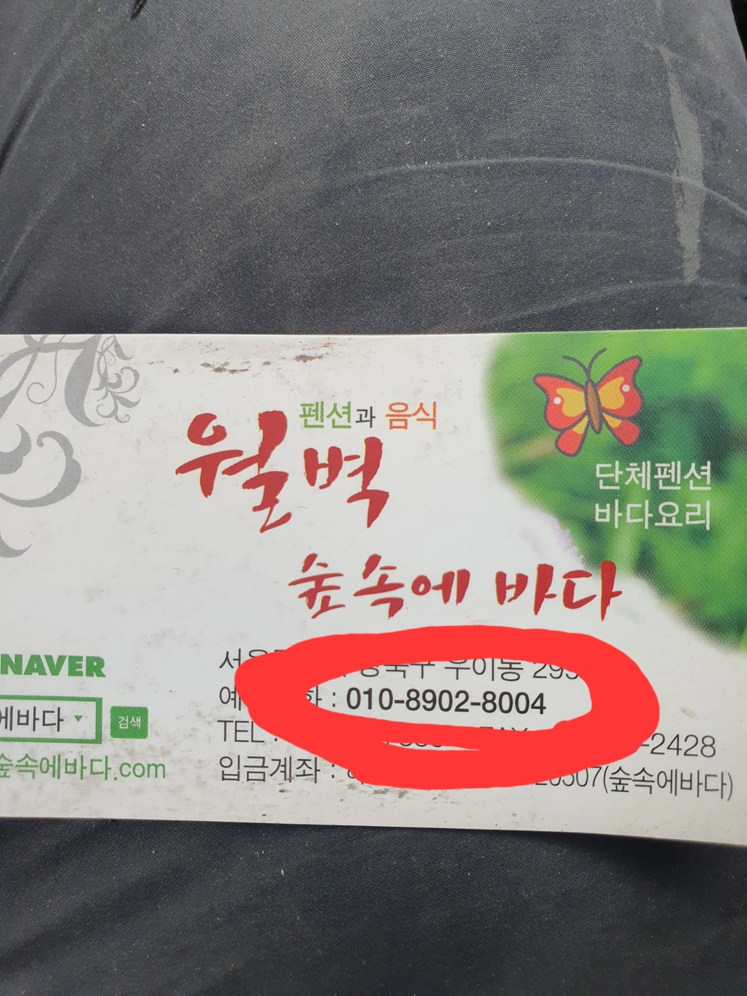 11.1(토)숲속에바다 알바구함