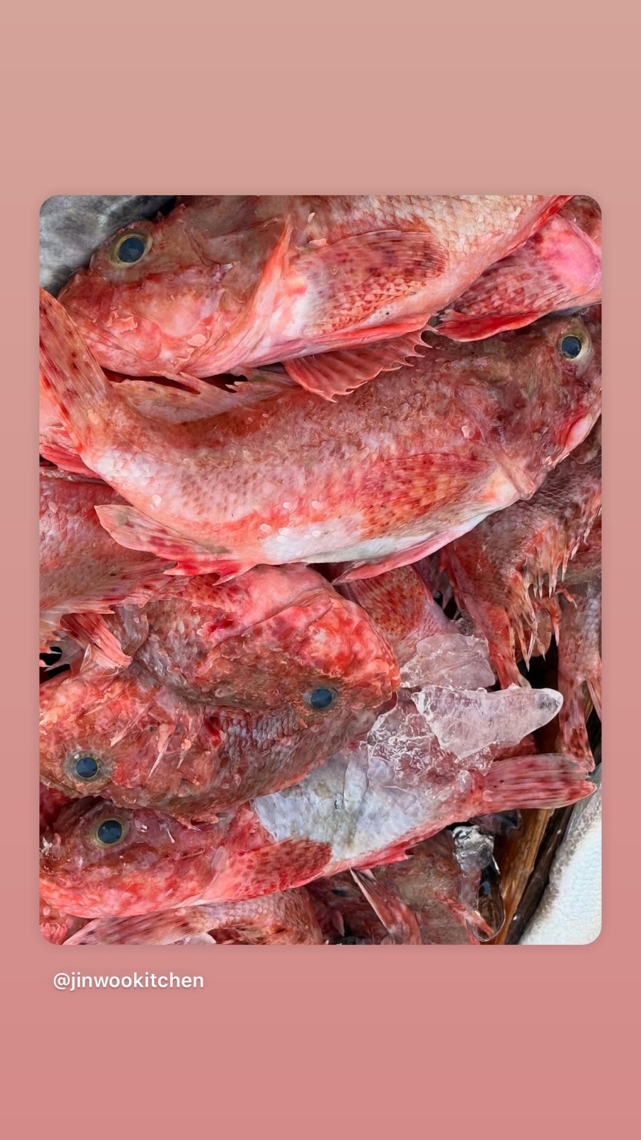 목로주점 첨목 주방팀장 공고 썸네일
