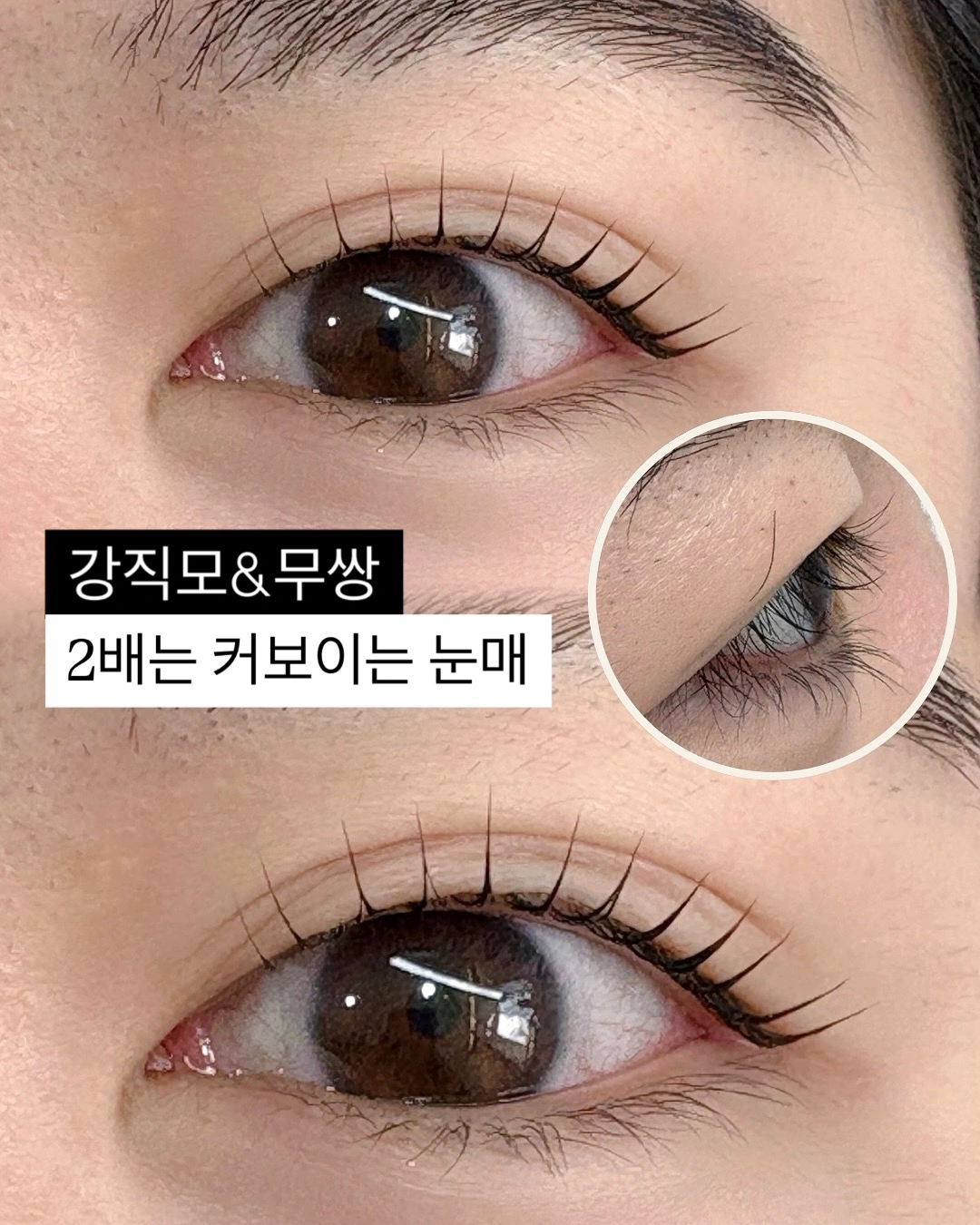 무쌍&속눈썹 긴 속눈썹모델알바 구해요!