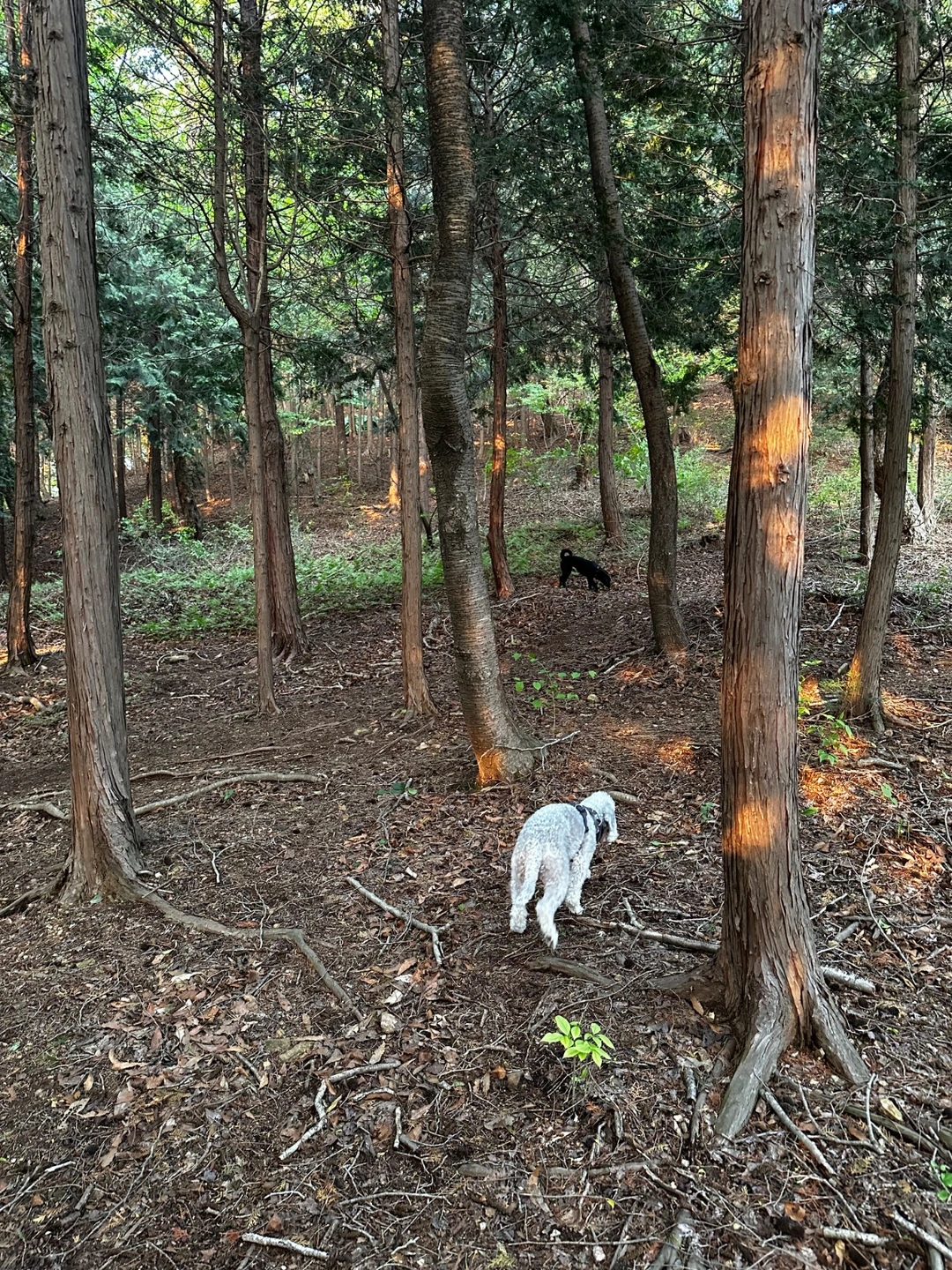 전단 알바구합니다