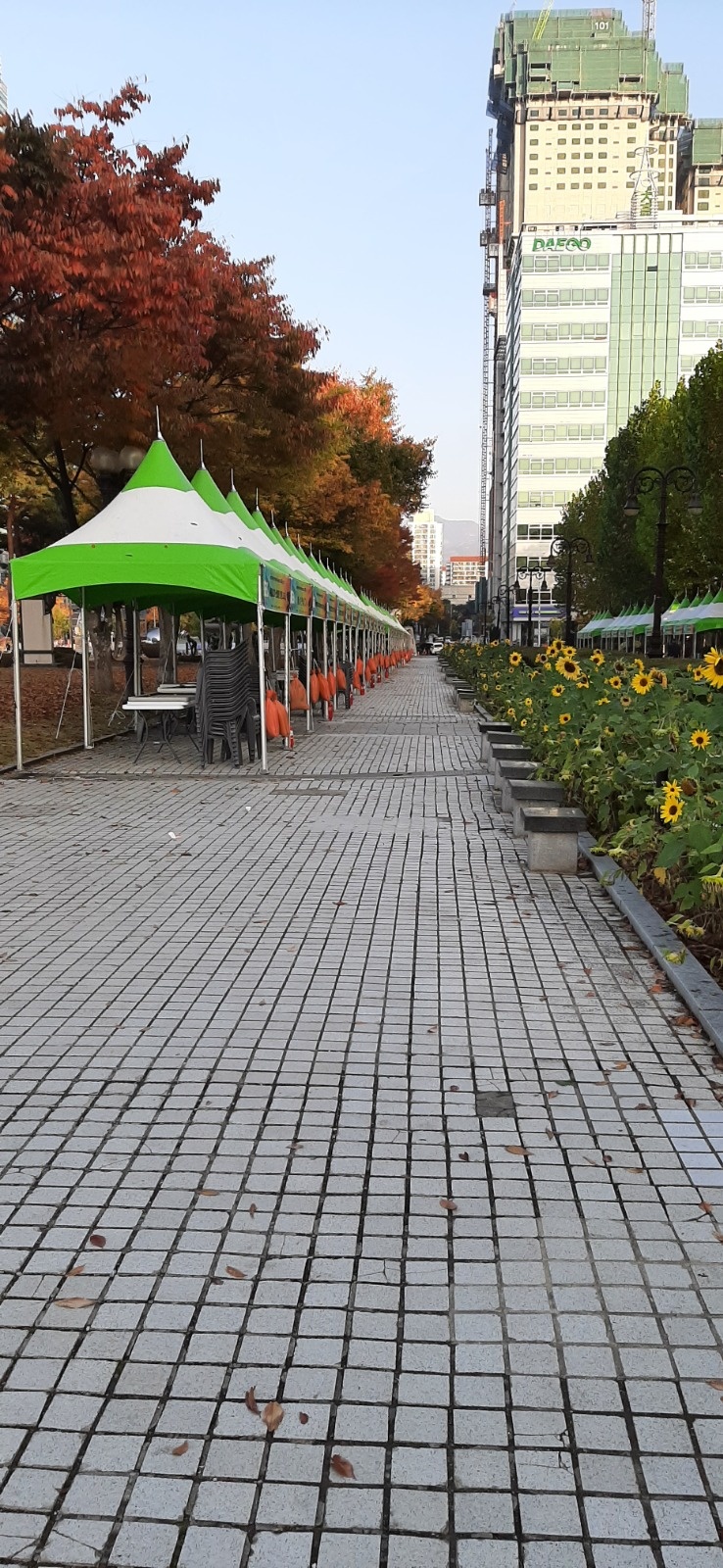행사용천막설치및철거작업 공고 썸네일