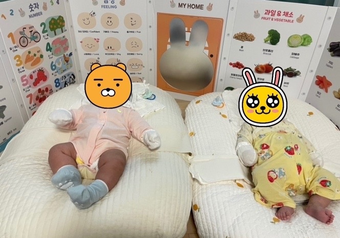 5개월 남여 쌍둥이 함께 봐주길 시터님 모십니다 공고 썸네일