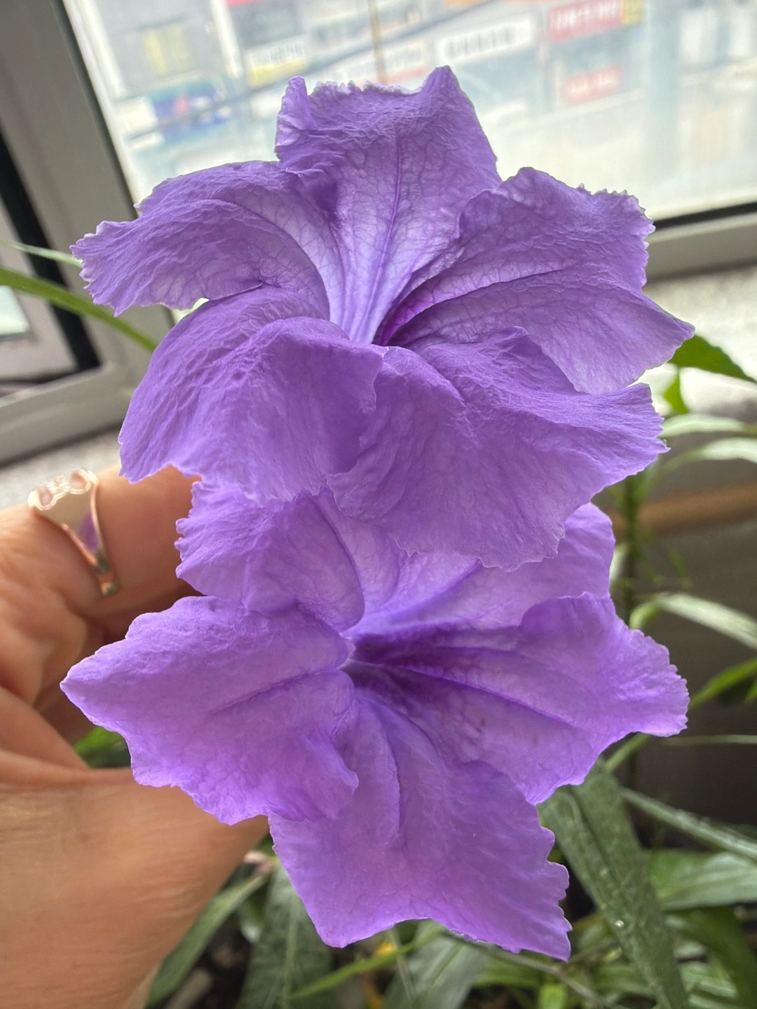 요양사님 모집합니디