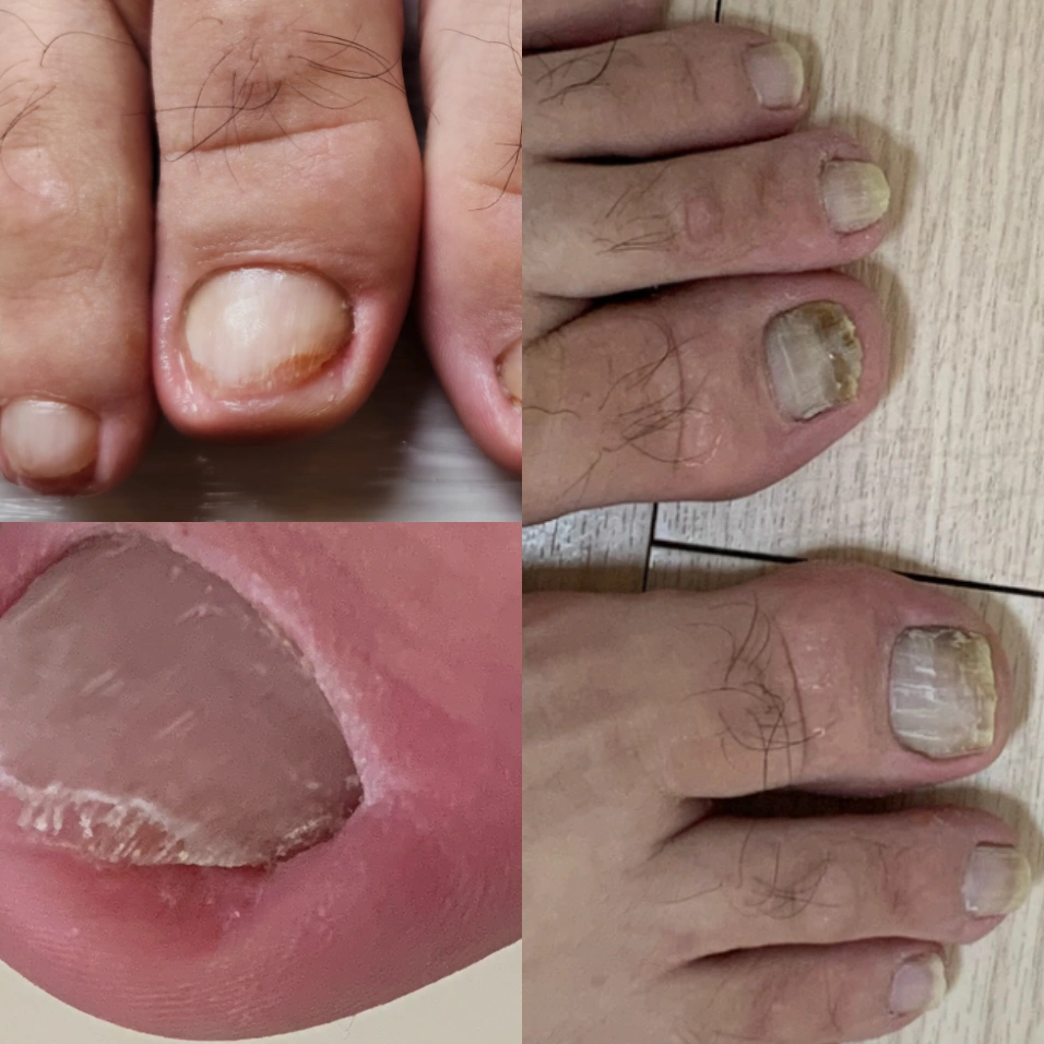 교육 모델도하고 관리도 받고