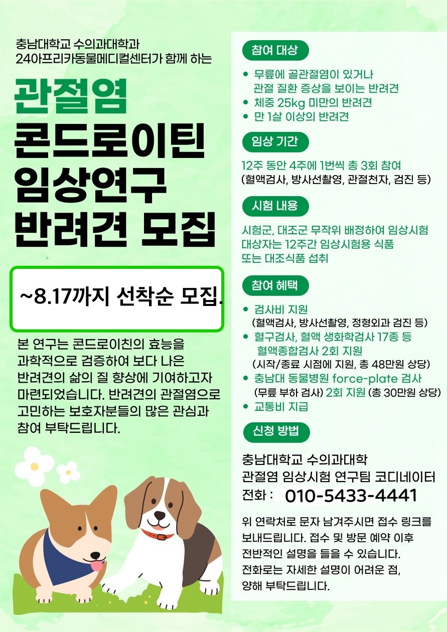 반려견 관절염 건강 프로젝트 모집참여 공고 썸네일