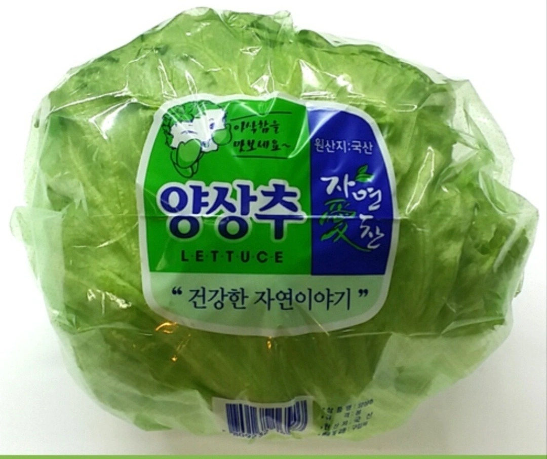양상추 포장